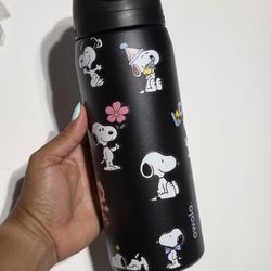 Snoopy Owala Flask