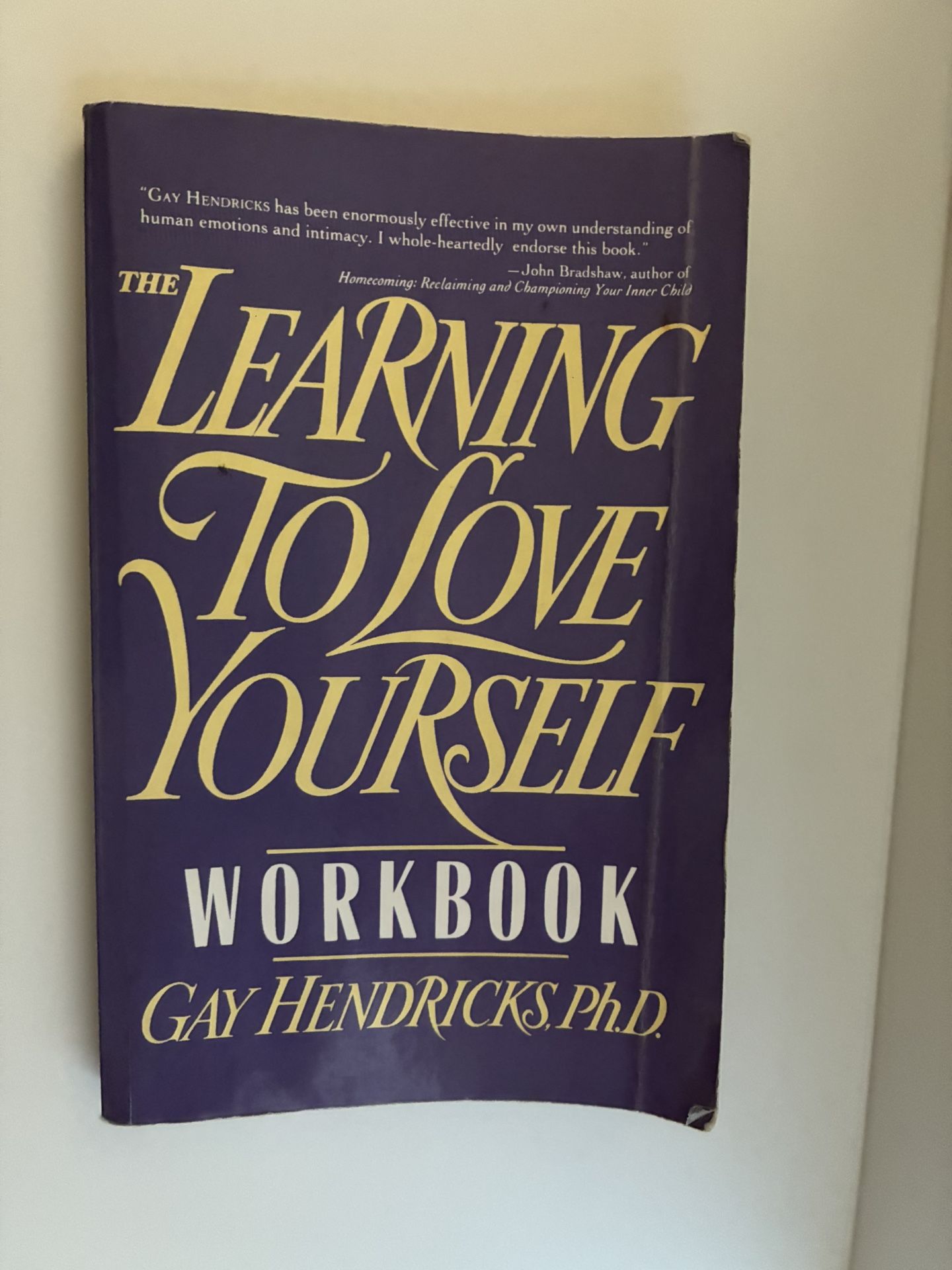 Learn to love yourself ( Book )