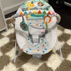 Baby Bouncer