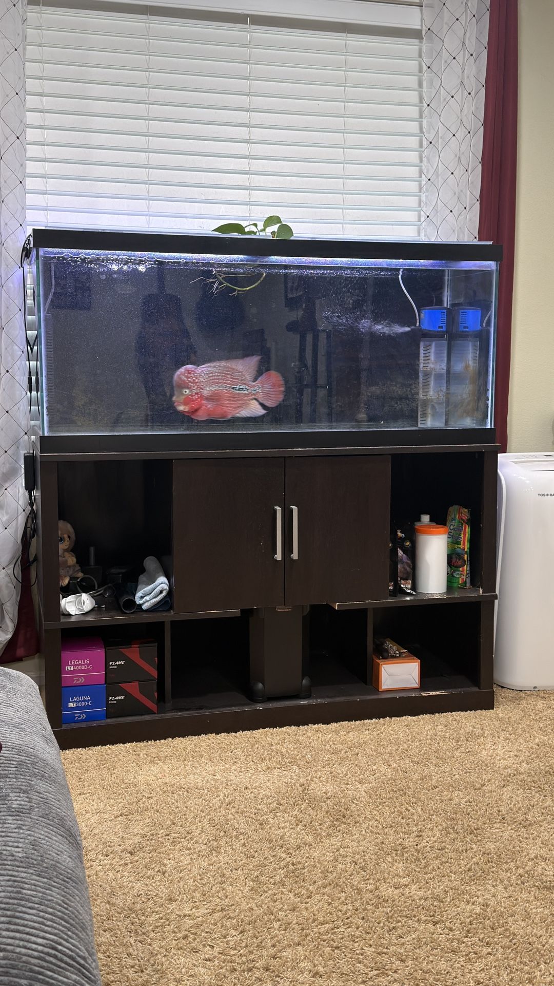 75gal fish tank and stand