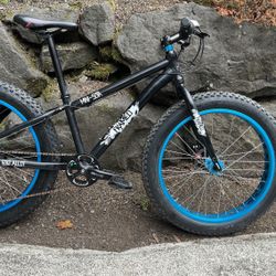 Framed Mini-Sota Youth Fat Tire Bike