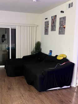 Luxury Goose Feather couch