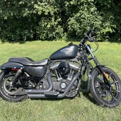 2017 Harley Davidson  883 XL