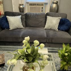 Living Room Set Sofa & Love Seat Only $800