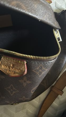 Louie Vuitton bag