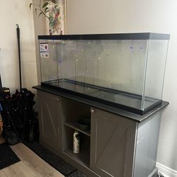 Duo Tank Aquarium and Stand 55 gallon