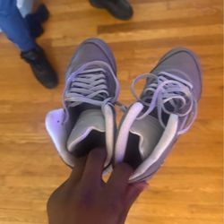 Wolf greys 5