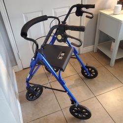 Foldable Adult Walker [ 250 Lbs Max Weight]
