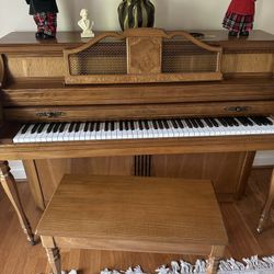 Organ And Bench 