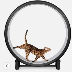 Cat wheel