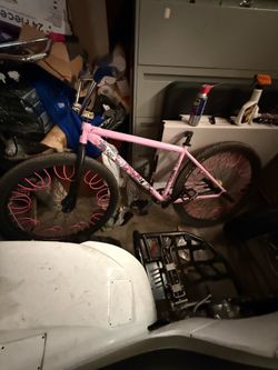 Pink chad