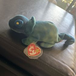Rainbow the chameleon
