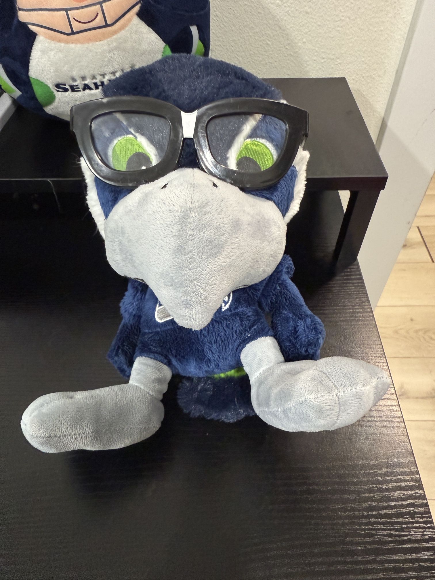 NFL Seattle Seahawks Study Buddy Plush Stuffed Animal