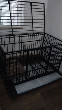Kennel
