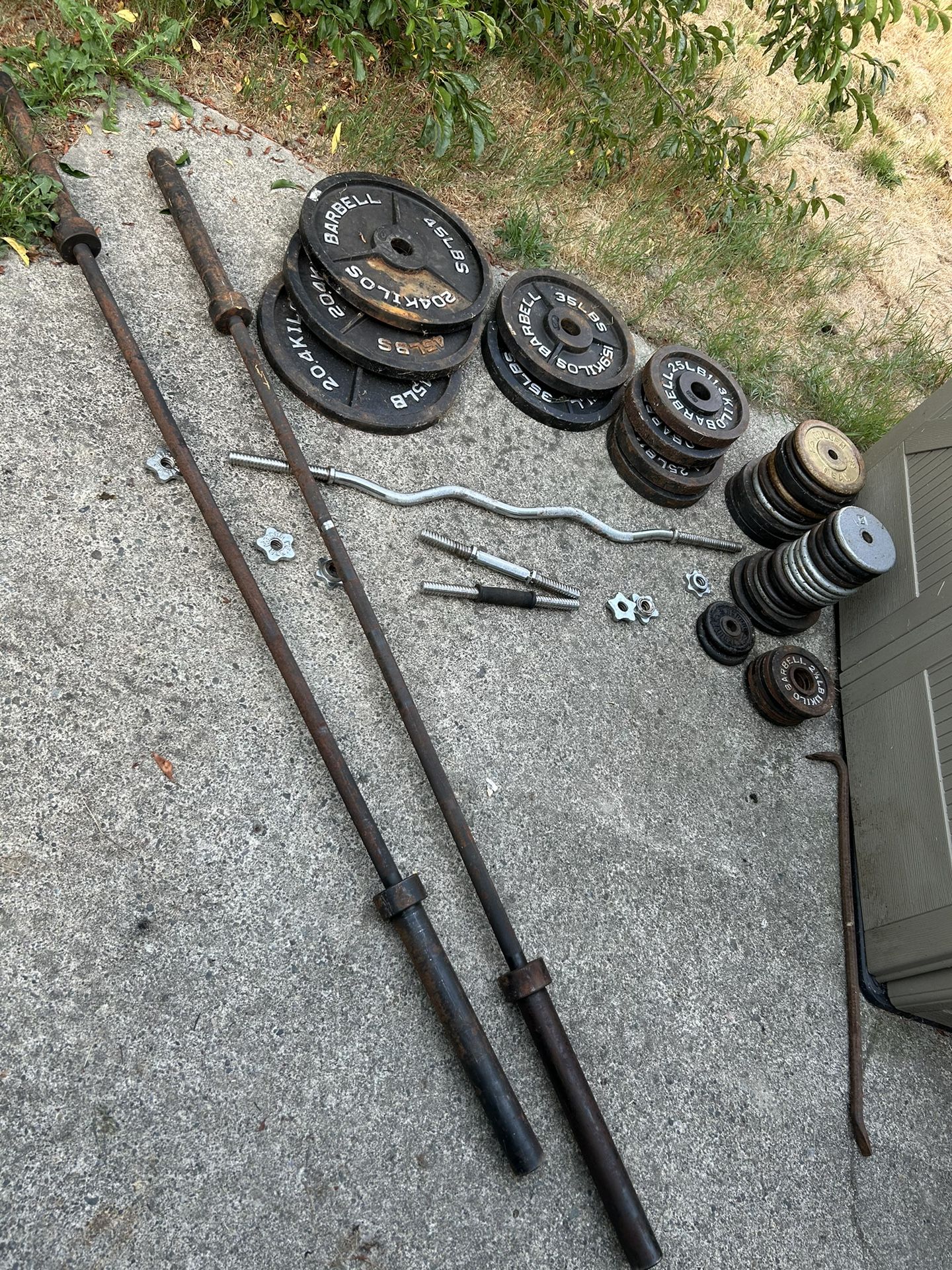 Weights, FreeWeights,Squat Rack