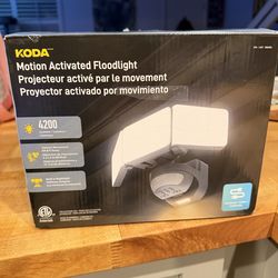 Koda motion activated floodlight