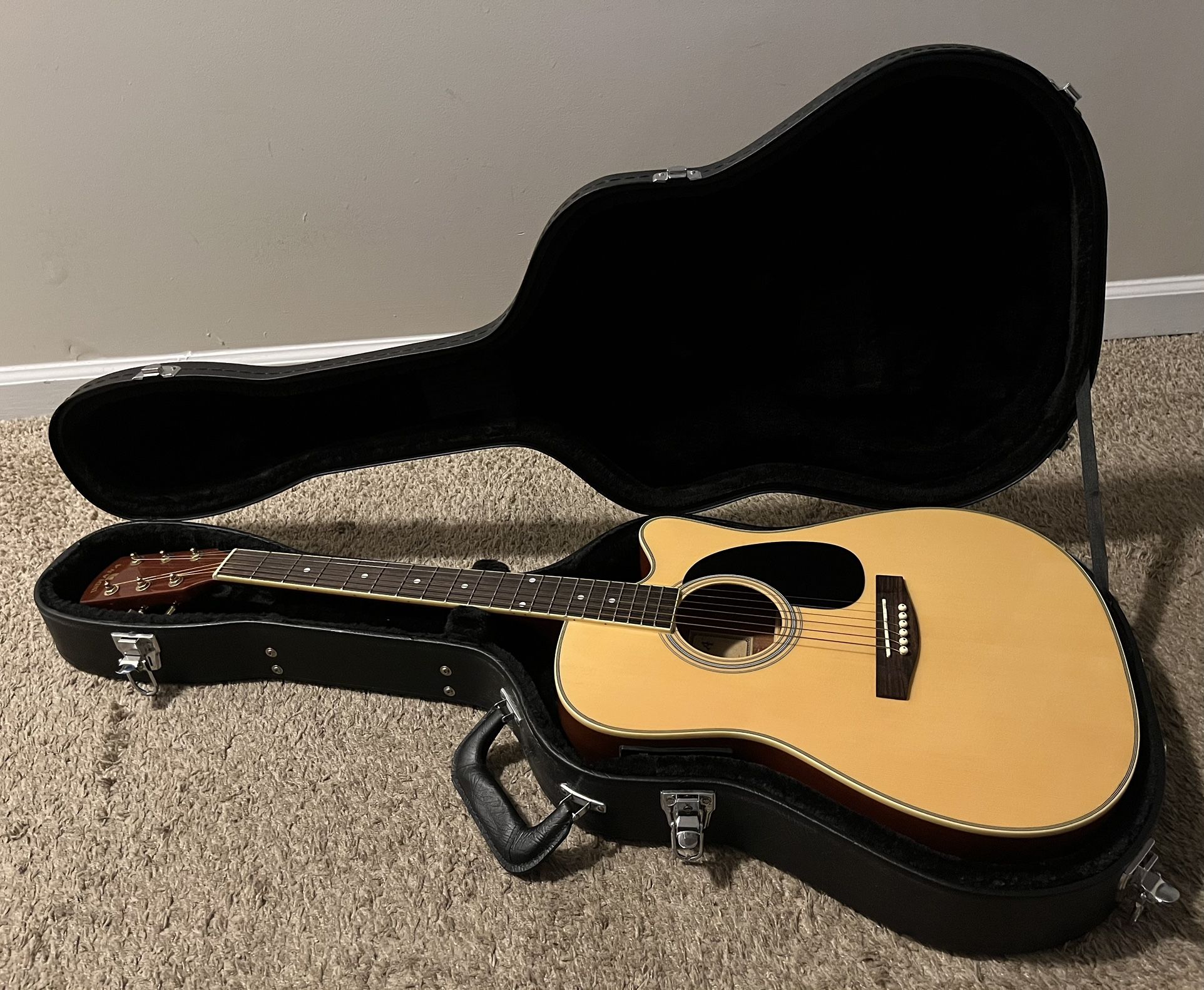 Guitar and Guitar Case