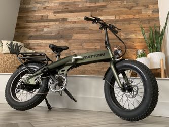 Fold up Electric Bike