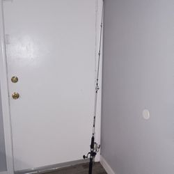 Fishing Pole, Fishing Rod Fishing Tackle Fishing Accessories 