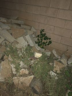 Free cement slabs