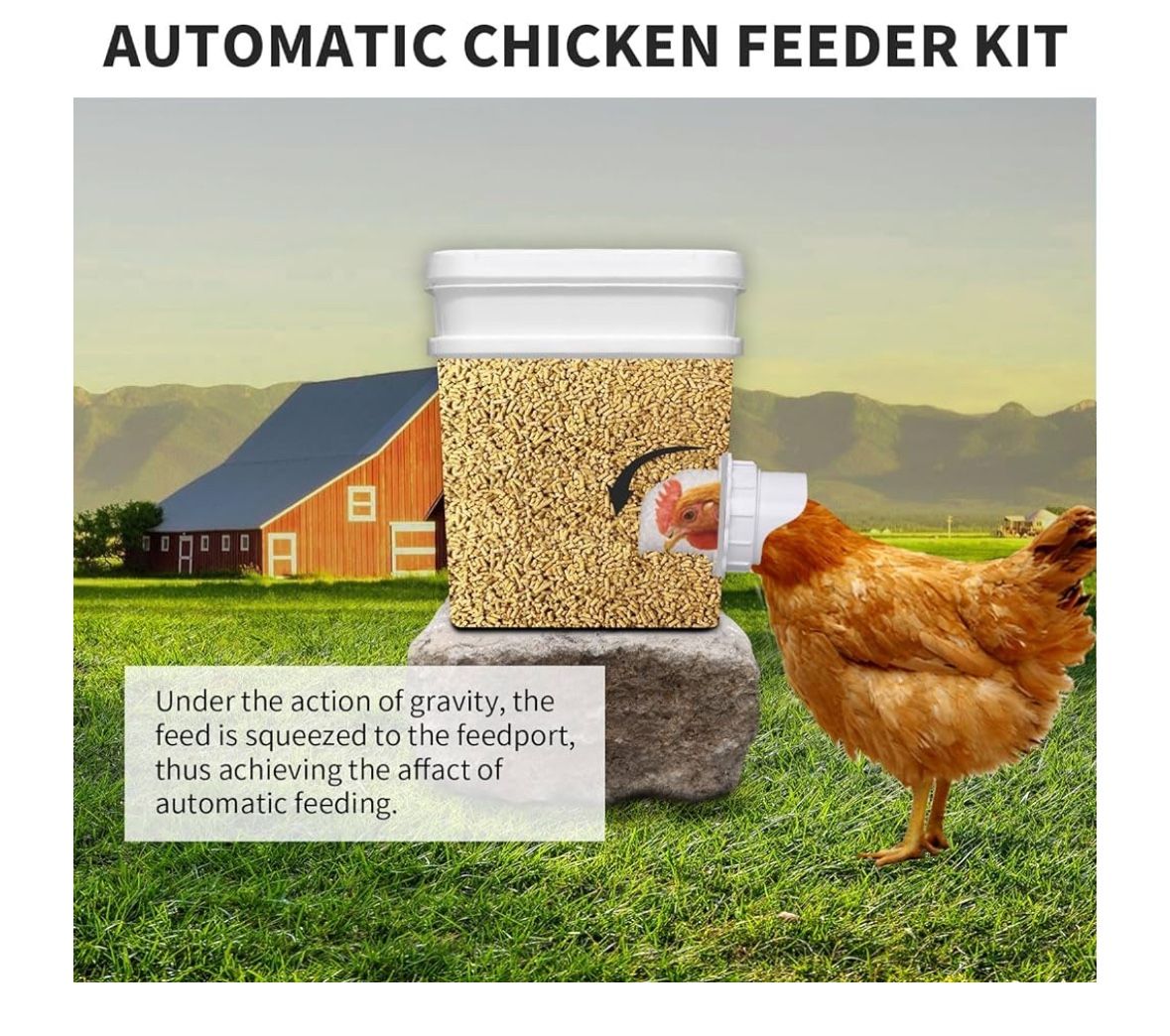 Chicken Feeder
