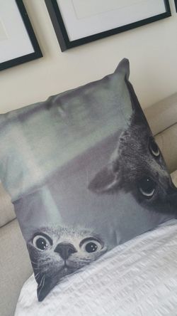 Funny Cats Accent Pillow Couch Bed Chair