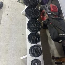 255LBS Olympic Weight