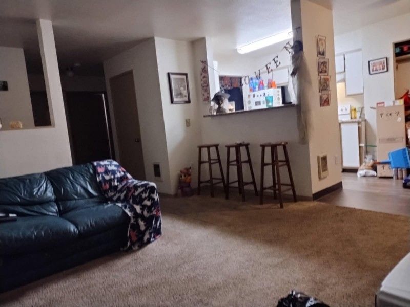 Free Couch