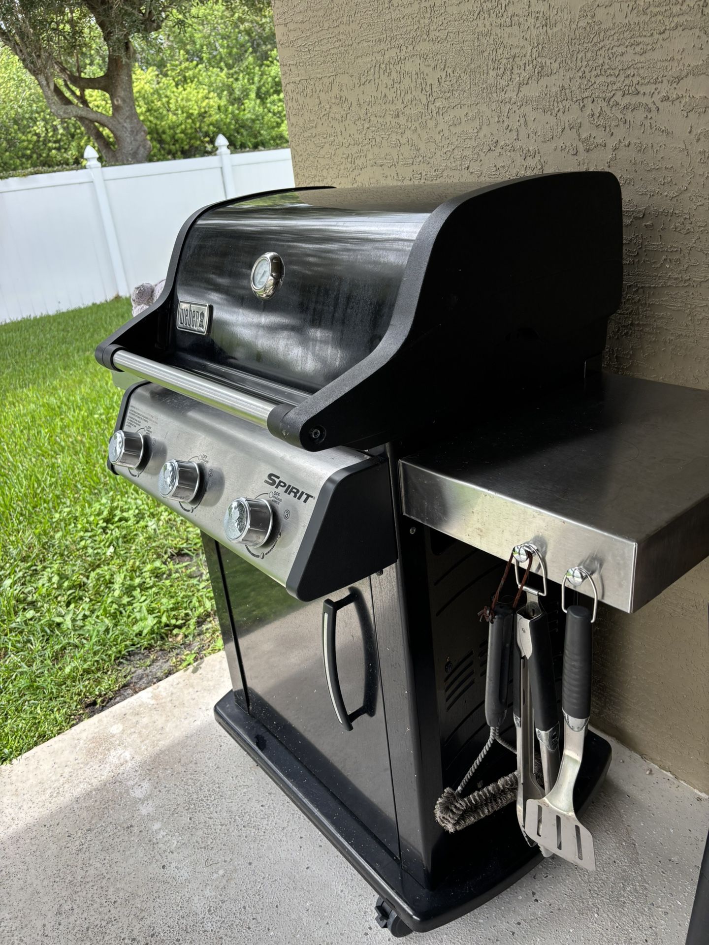Weber Grill