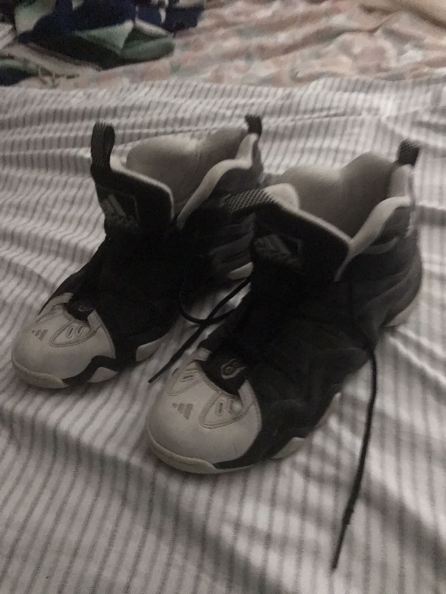 Very Nice Collector Edition Adidas Size 11 Only $30 Firm