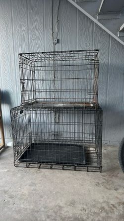 20 Cada Cajas Para Perros