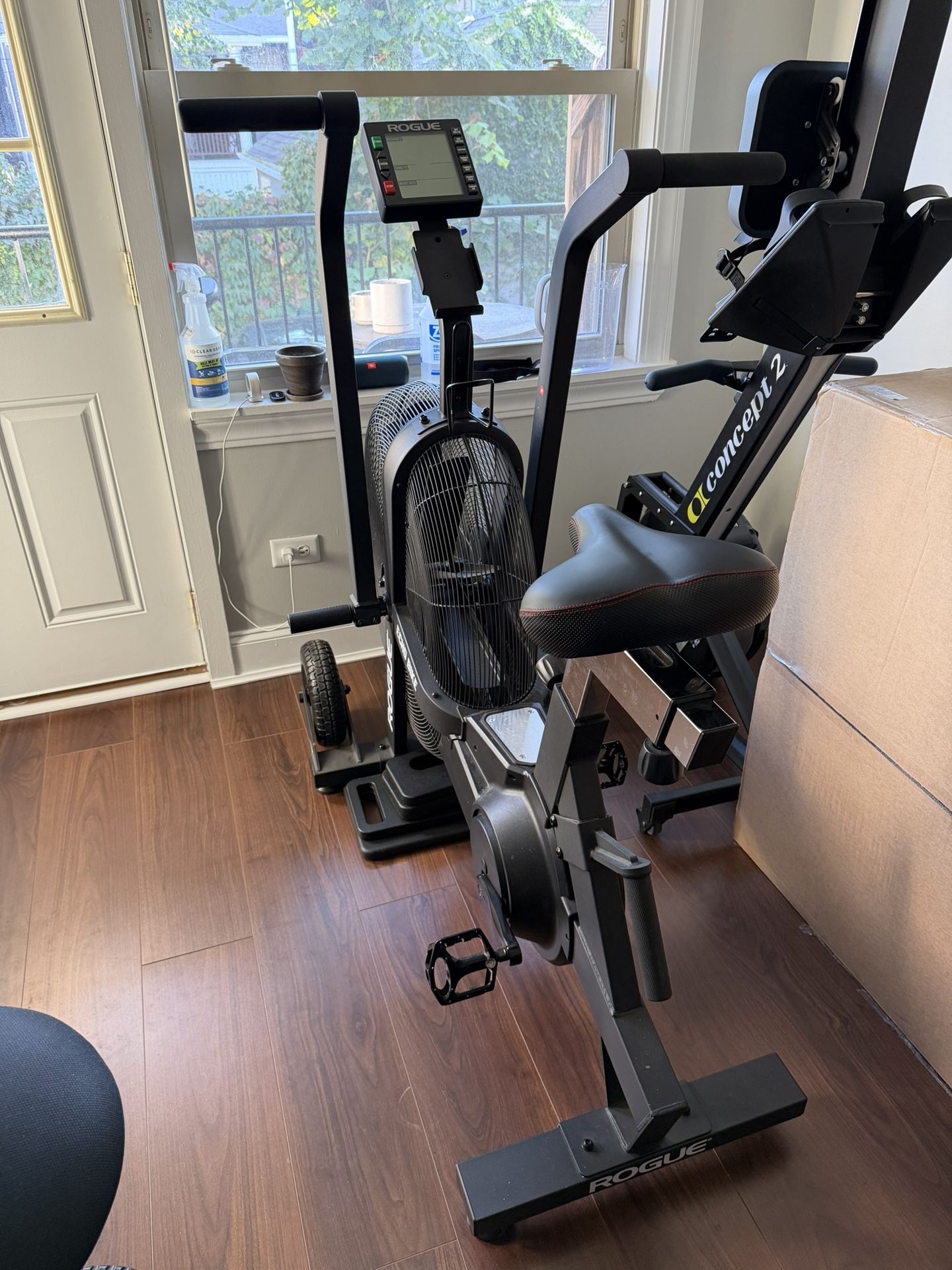 Rogue Echo Assault Bike