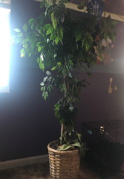 Fake Tree