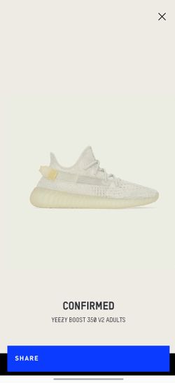 Yeezy Boost 350
