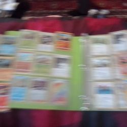 Whole Pokemon Book For Sale $100