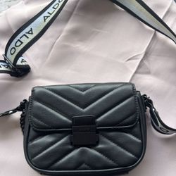 Aldo purse 