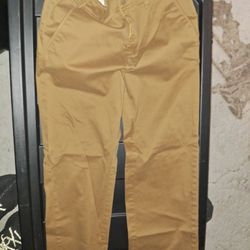 Lee Straight Fit Bronze Pants