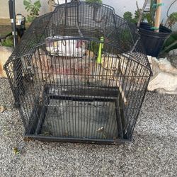 Bird Cage