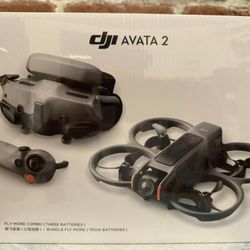 DJI - Avata 2 Fly More Combo Drone (Three Batteries) - Gray