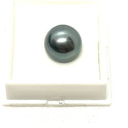 Genuine Black Tahitian Pearl 