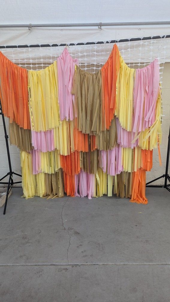 Fringe Backdrop Only