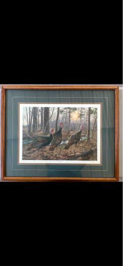 Framed Wild Turkey Wildlife Art Print