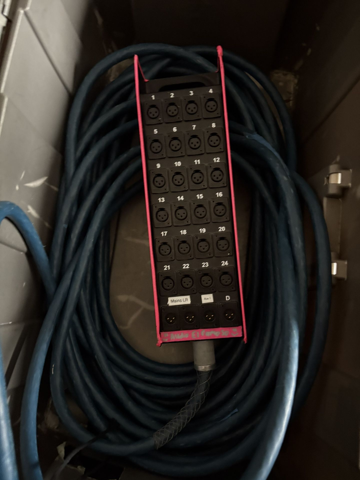 Whirlwind snake 24channels 100ft