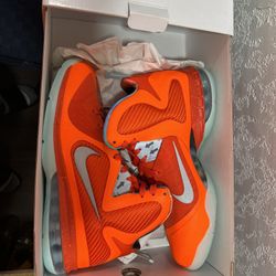 NIKE LEBRON IX