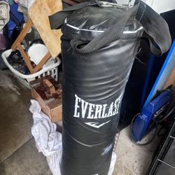 Punching Bag