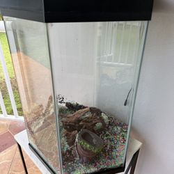 Fish Tank