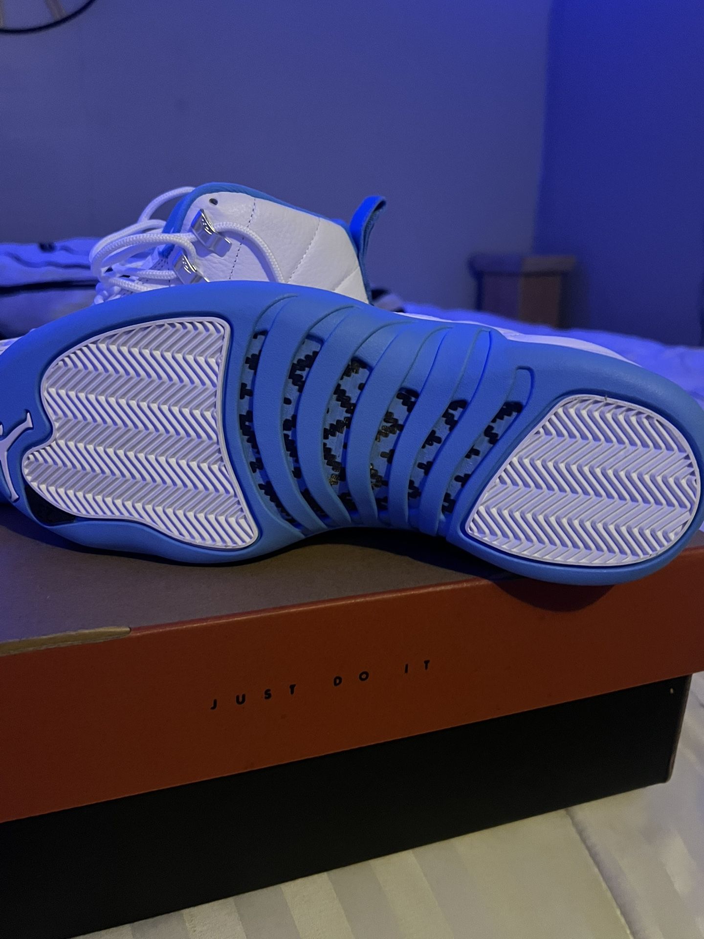jordan 12s