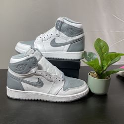 Brand New Jordan 1