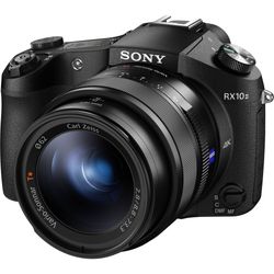 Sony RX-10 MII with Microphone