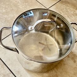 Wolfgang Stainless Steel stock Pot with Glass Lid